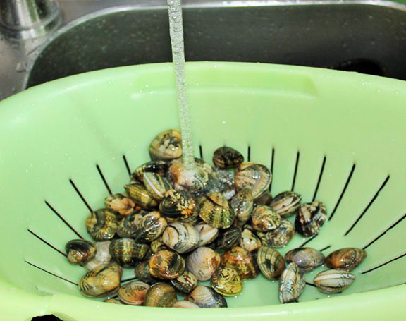 Come-pulire-le-vongole