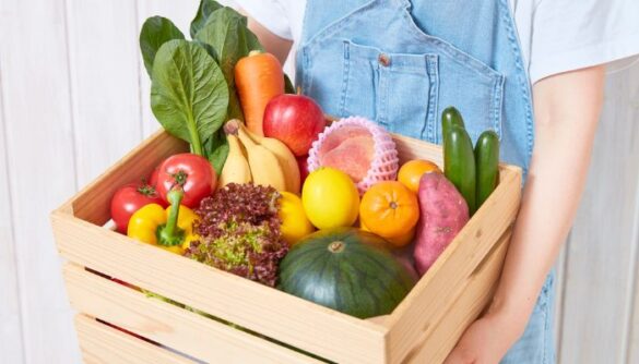 evoluzione del gusto