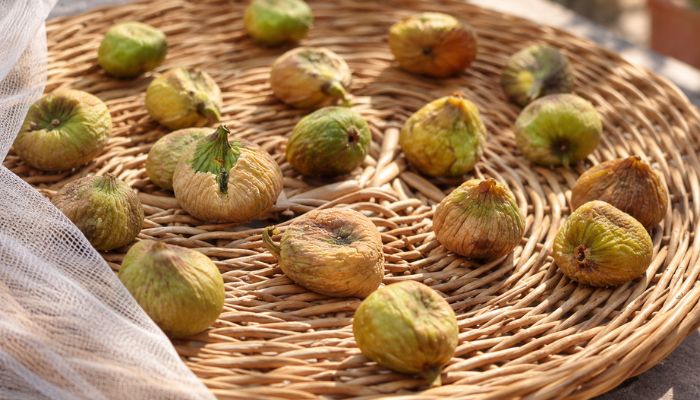 Fichi maturi e leggermente appassiti su un vassoio di vimini per l’essiccazione al sole