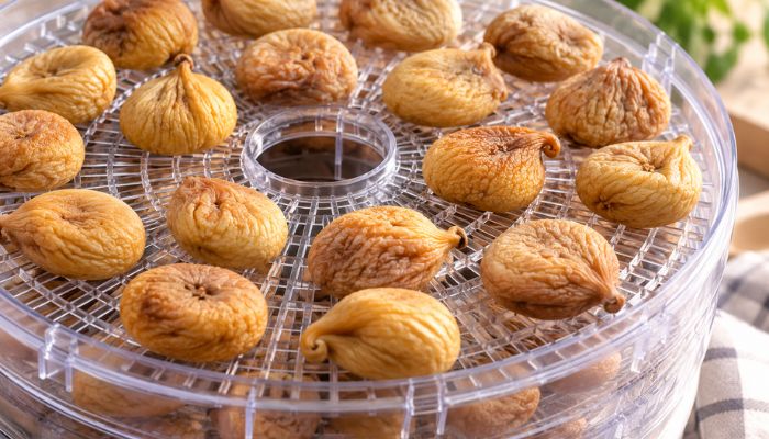 Fichi interi disposti sui cestelli di un essiccatore durante il processo di essiccazione