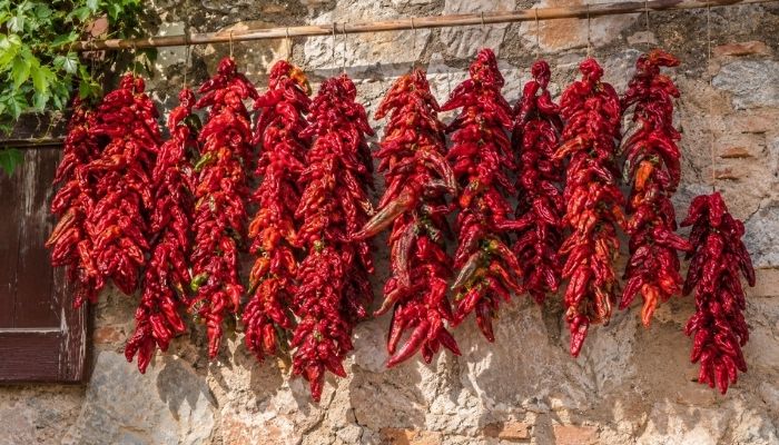 Nzerte di peperoni cruschi appese ad asciugare